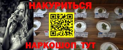 Альфа ПВП Заводоуковск