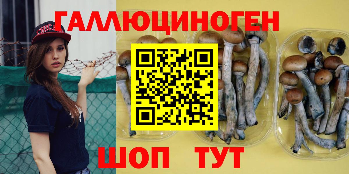 Псилоцибиновые грибы мицелий Ефремов